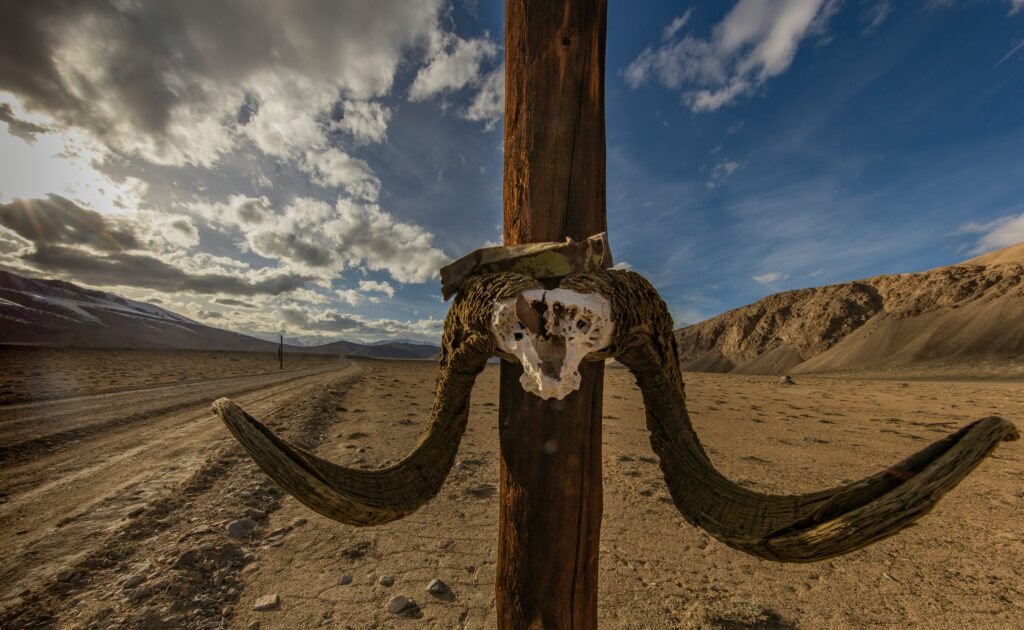 pamir highway on the road nel mondo