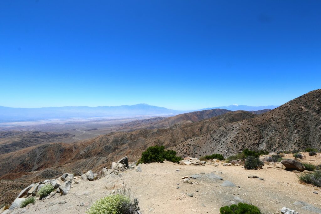 Itinerario Joshua Tree un giorno